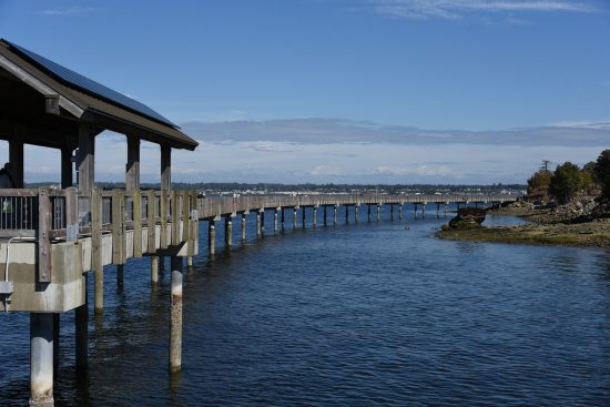 découvrez bellingham, une charmante ville située dans l'état de washington, réputée pour sa vibrante culture, ses paysages naturels époustouflants et ses activités de plein air. explorez ses attractions locales, ses restaurants savoureux et profitez d'une ambiance accueillante, parfaite pour les résidents et les visiteurs.