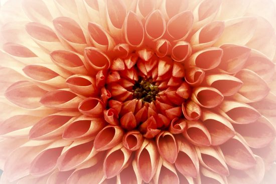 découvrez la puissance de l'humilité, une vertu essentielle qui favorise l'écoute, la croissance personnelle et des relations authentiques. apprenez comment cultiver cette qualité transformative dans votre vie quotidienne.