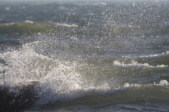 découvrez l'univers fascinant de kari, un personnage emblématique qui allie style, créativité et passion. plongez dans son monde où chaque détail compte et chaque expérience est unique.