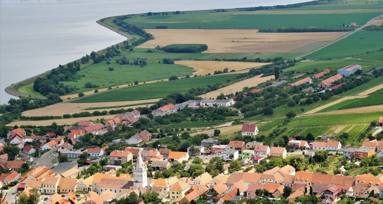 découvrez pavlovic, un chef-d'œuvre d'ingéniosité et d'innovation, mêlant art et technologie pour captiver les sens et stimuler l'imagination. explorez un univers où créativité et passion se rencontrent.