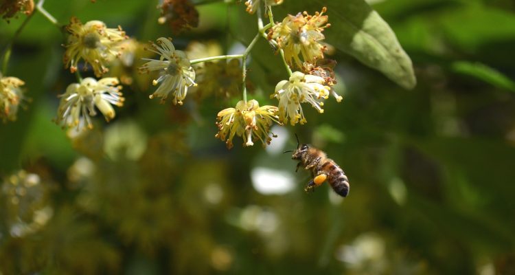 découvrez ce que signifie 'digne', un terme qui véhicule des notions de respect, d'honneur et de valeur personnelle. explorez comment cette qualité influence nos comportements et nos interactions au quotidien.