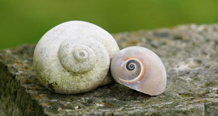 découvrez le pouvoir du duo, une combinaison harmonieuse qui transforme chaque instant en une expérience inoubliable. que ce soit en musique, en gastronomie ou dans les relations, explorez l'art de collaborer pour créer des moments uniques et mémorables.