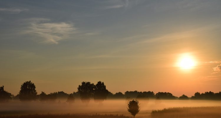 découvrez 'neuer', une plateforme innovante dédiée à la créativité et à l'expression personnelle. explorez des idées nouvelles et inspirez-vous des créations uniques de notre communauté.