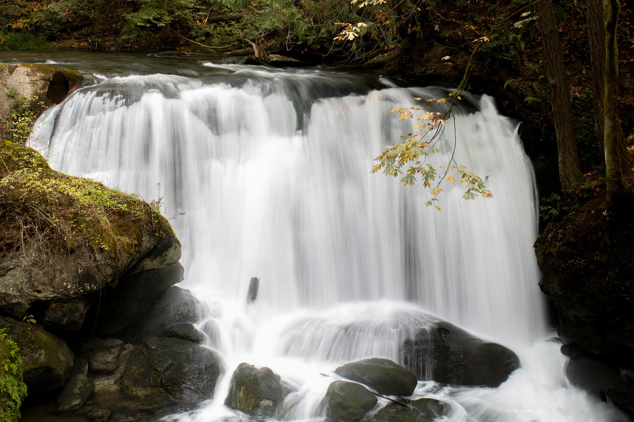 découvrez bellingham, une charmante ville située dans l'état de washington, connue pour ses paysages pittoresques, ses activités de plein air et sa scène culturelle dynamique. explorez ses parcs, ses cafés animés et profitez de l'hospitalité chaleureuse de cette destination parfaite pour les amateurs de nature et d'aventures.