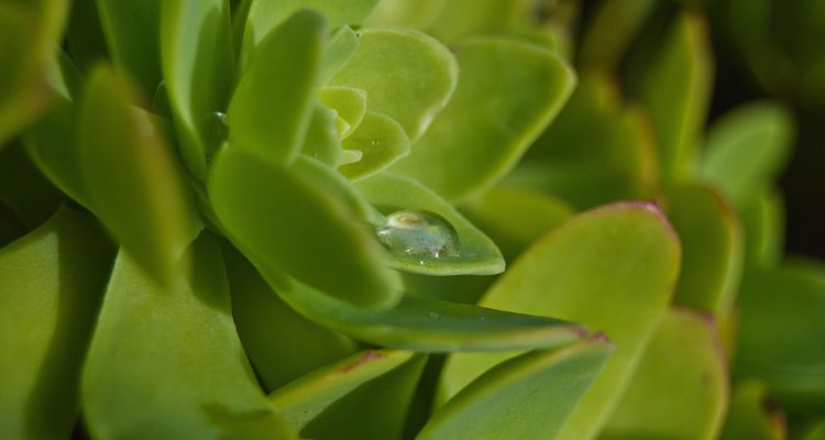 découvrez l'univers fascinant de pep guardiola, entraîneur de football d'exception, célèbre pour ses stratégies novatrices et son succès fulgurant avec des clubs comme le fc barcelone, le bayern munich et manchester city. plongez dans sa carrière, ses philosophies de jeu et son impact sur le monde du football.