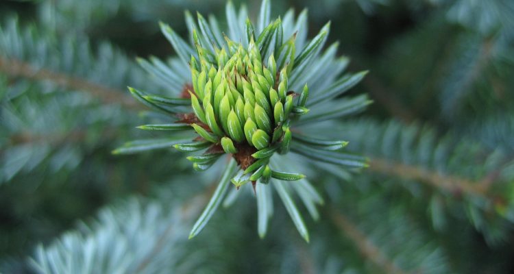 découvrez neuer, un talent exceptionnel dans le monde du football, connu pour ses performances remarquables et son jeu innovant. plongez dans son univers et apprenez-en davantage sur sa carrière impressionnante et ses contributions au sport.