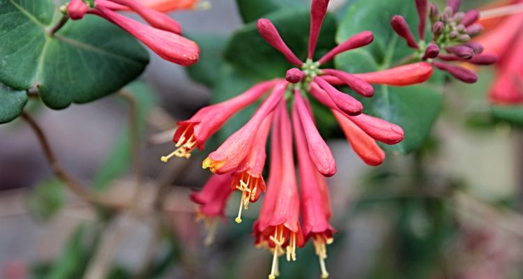 découvrez le concept de 'suspended', un état captivant où le temps semble s'arrêter. explorez ses implications dans la vie quotidienne, l'art et la technologie. plongez dans cette notion intrigante qui défie les limites de l'espace et du mouvement.