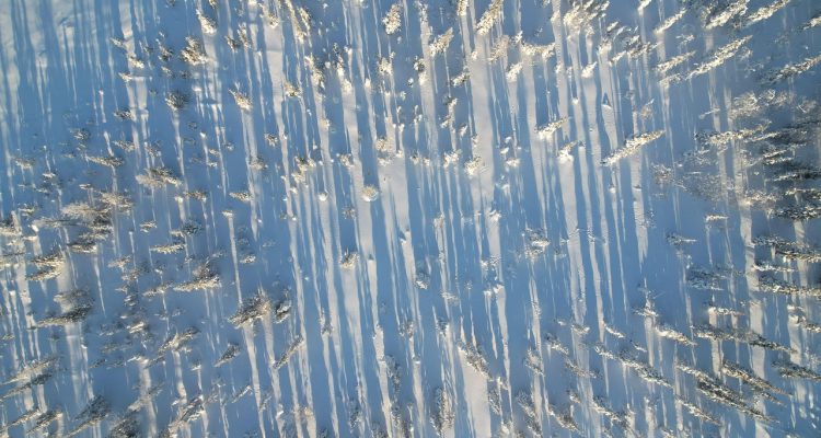 découvrez yamal, une région fascinante en russie, célèbre pour ses paysages arctiques, sa culture unique et sa population autochtone. explorez ses merveilles naturelles et plongez dans l'histoire riche de cette terre mystérieuse.
