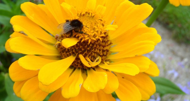 découvrez l'art de l'été avec notre guide complet sur les activités, les destinations et les tendances estivales. profitez pleinement de la saison en explorant les meilleures options pour passer un été inoubliable.