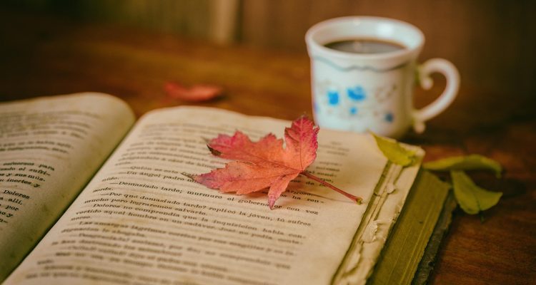 découvrez tout sur la coupe du monde 2026 : équipes participantes, lieux des matchs, dates clés et bien plus. soyez prêt à vibrer au rythme des plus grands affrontements footballistiques sur la scène mondiale !