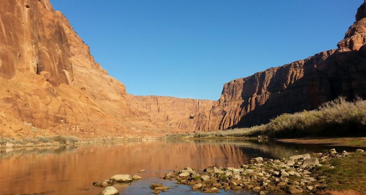 découvrez lees-melou, une destination unique qui allie culture, nature et activités passionnantes. plongez dans l'ambiance vibrante de cette localité et explorez ses nombreuses attractions et événements tout au long de l'année.