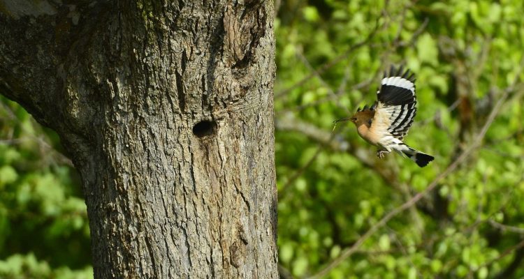 adoptez une approche prudente grâce à nos conseils et stratégies pour prendre des décisions éclairées et minimiser les risques dans vos projets professionnels ou personnels.