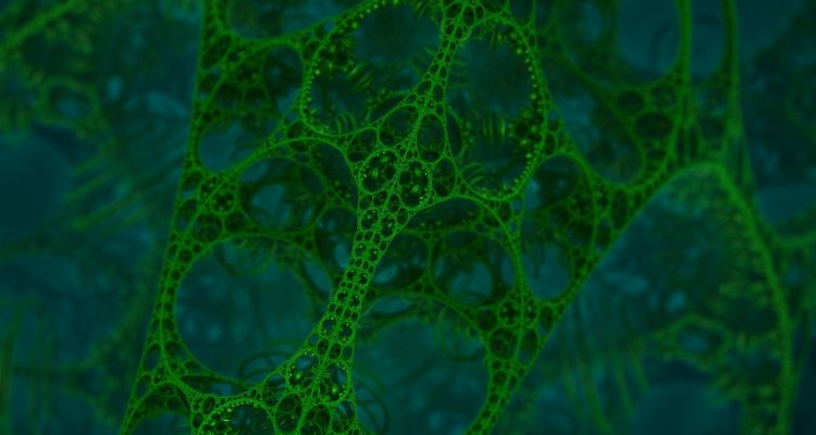 découvrez tout ce qu'il faut savoir sur les renforts : leur utilité, leurs différents types et comment ils peuvent améliorer la solidité et la durabilité de vos projets ou constructions.