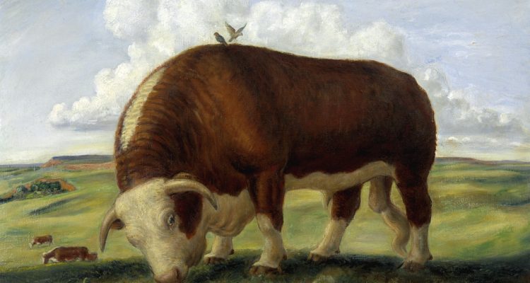 découvrez comment ajax permet de créer des applications web interactives et dynamiques en actualisant des parties de page sans recharger l’ensemble du site.