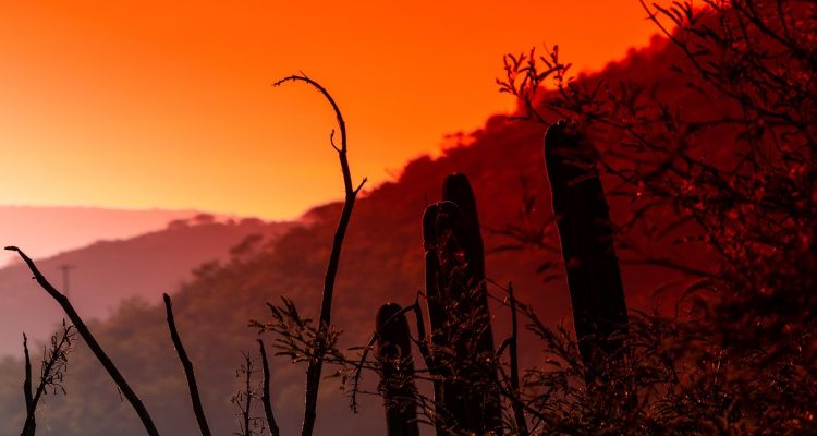 découvrez bernal, une destination incontournable au mexique, célèbre pour son impressionnant monolithe, ses paysages pittoresques et son ambiance authentique. parfait pour les amateurs de nature, de randonnée et de culture locale.