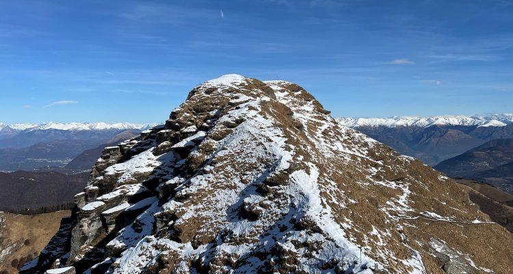 découvrez qui est joão neves : parcours, carrière et actualités du jeune talent portugais du football. analyse complète et informations essentielles sur joão neves.