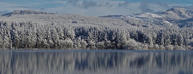 découvrez tout sur bellingham : actualités, biographie, statistiques, performances et dernières informations sur ce talentueux joueur de football. restez informé de ses exploits sur le terrain et de son évolution dans le monde du sport.