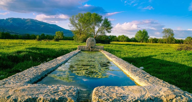 découvrez l'influence majeure de xabi alonso au real madrid, son rôle clé sur le terrain et son impact durable dans le club.