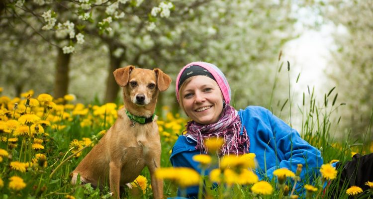 découvrez les principaux rivaux de l'équipe nationale de france : analyses historiques, confrontations mémorables et rivalités intenses du football international.