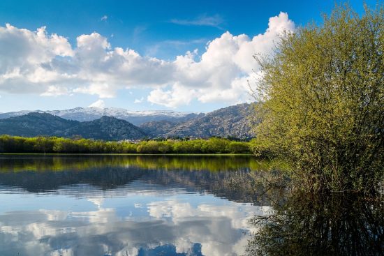 suivez les dernières actualités et rumeurs sur les transferts du real madrid, les arrivées et départs des joueurs, ainsi que les stratégies du club pour renforcer son équipe.